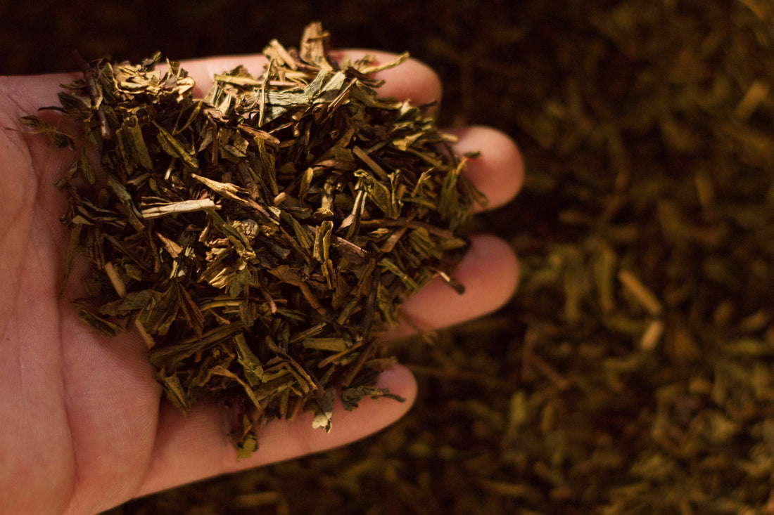 Tea Grown with Love—Not Pressure🌱