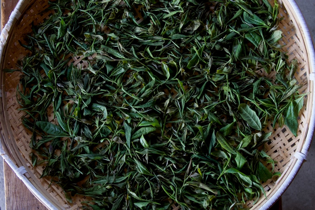 Japanese Green Tea